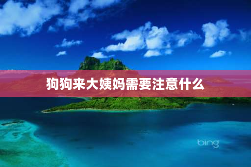 狗狗来大姨妈需要注意什么 狗狗也会有“月经”吗？