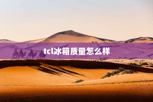 tcl冰箱质量怎么样 tcl冰箱质量怎么样？