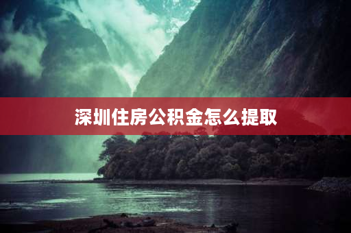 深圳住房公积金怎么提取 深圳办理公积金提取去哪里办理？