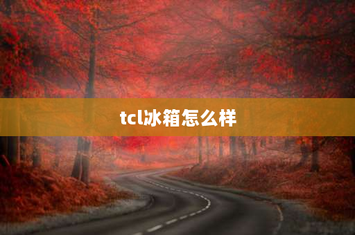 tcl冰箱怎么样 TCL冰箱怎么样？