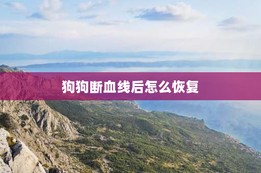 狗狗断血线后怎么恢复 狗狗后肢没劲站不住了这两天又开始大便带新鲜的血了是怎么回事？