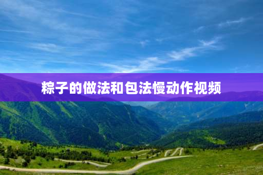 粽子的做法和包法慢动作视频 鲜肉粽子的做法视频？