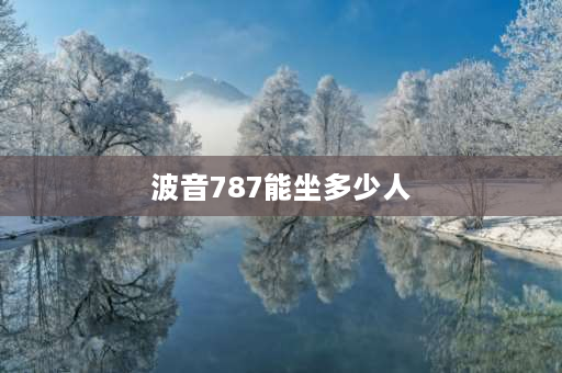 波音787能坐多少人 波音公司787空客可载多少人？