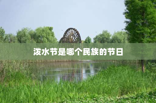 泼水节是哪个民族的节日 泼水节是哪个，民族的？