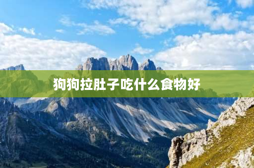 狗狗拉肚子吃什么食物好 狗狗感冒拉肚子，但是精神挺好的，可以给它吃东西吗？