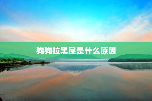 狗狗拉黑屎是什么原因 狗狗三天不吃饭走不动路还拉黑屎是怎么回事？