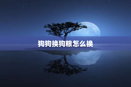 狗狗换狗粮怎么换 泰迪狗几个月可以吃干狗粮如何换干狗粮？