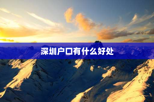 深圳户口有什么好处 在深圳工作4、5年有没有必要取得深圳户口？