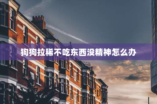 狗狗拉稀不吃东西没精神怎么办 狗狗拉肚子不吃东西没精神怎么办？