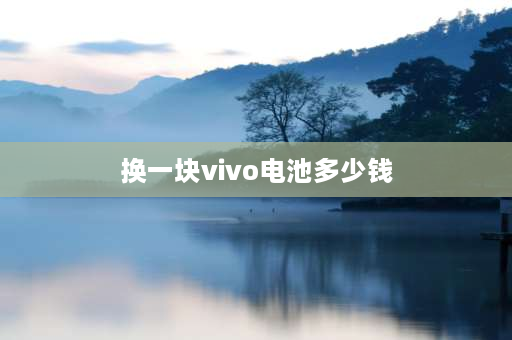 换一块vivo电池多少钱 换一块vivos7手机电池多少钱？