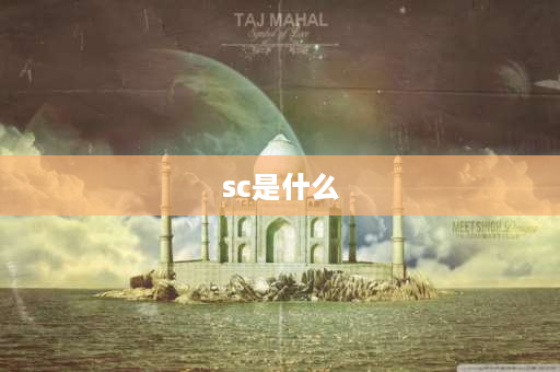 sc是什么 sc是什么意思？