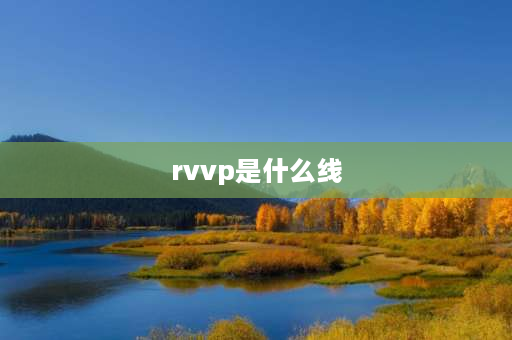 rvvp是什么线 rvvp是什么电缆？