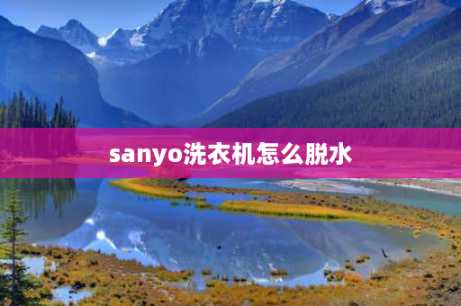 sanyo洗衣机怎么脱水 sanyo洗衣机超音波怎么操作脱水？