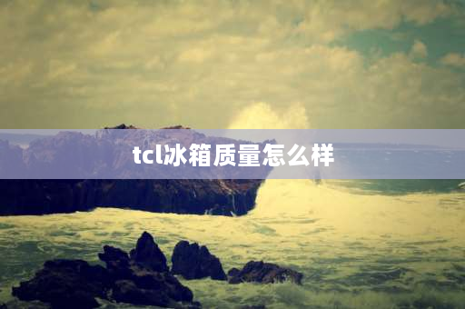 tcl冰箱质量怎么样 TCL冰箱质量好不好？