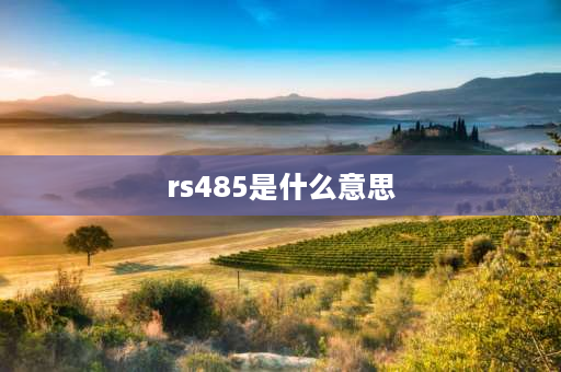 rs485是什么意思 485接口是什么？