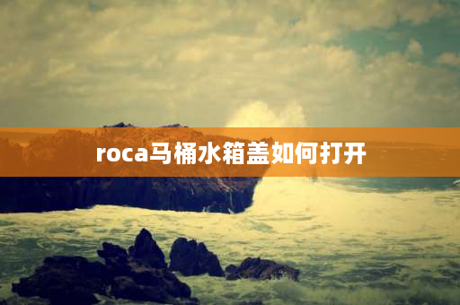 roca马桶水箱盖如何打开 roca马桶盖阻尼器怎么更换？