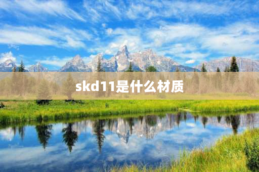 skd11是什么材质 SKD11是什么材料？