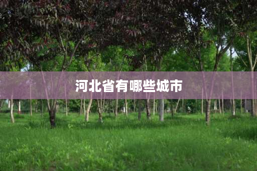 河北省有哪些城市 河北9个中等城市？