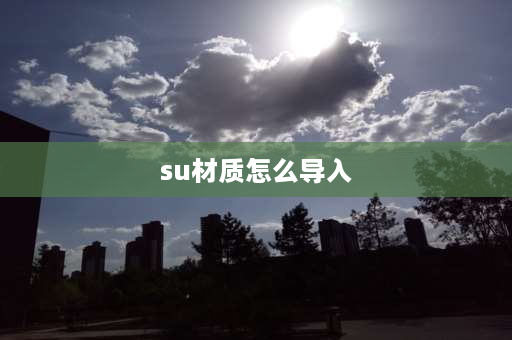 su材质怎么导入 su怎么贴立体的材质？