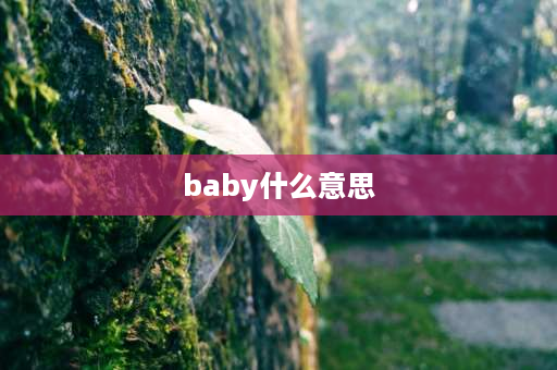 baby什么意思 baby到底有几种意思？