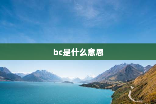 bc是什么意思 bc网络流行语什么意思？