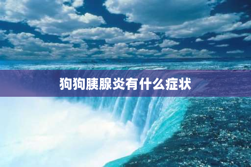 狗狗胰腺炎有什么症状 狗狗自测胰腺炎最简单的方法？