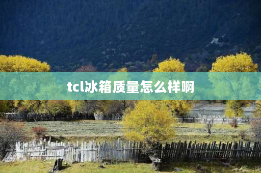 tcl冰箱质量怎么样啊 tcl超薄冰箱t9质量怎么样？