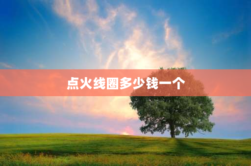 点火线圈多少钱一个 大众宝来2012年宝来手动1.6自吸点火线圈多少钱一个？