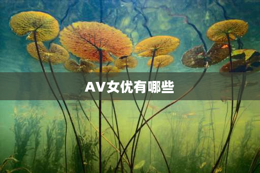 AV**有哪些 新垣结衣介绍？