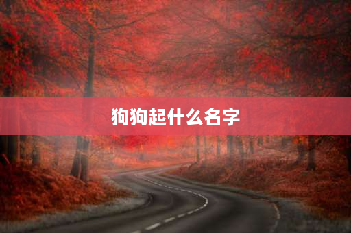 狗狗起什么名字 12月的狗狗适合起什么名字？