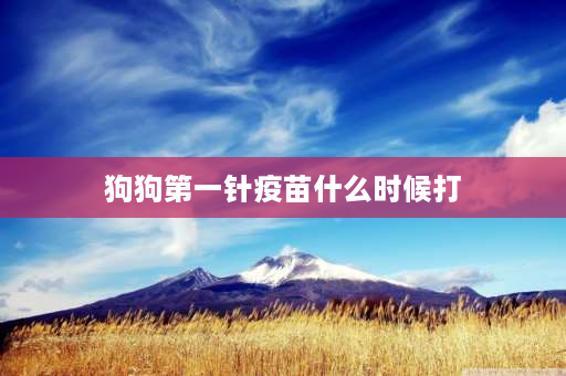 狗狗第一针疫苗什么时候打 小狗狗多大可以打第一针疫苗？