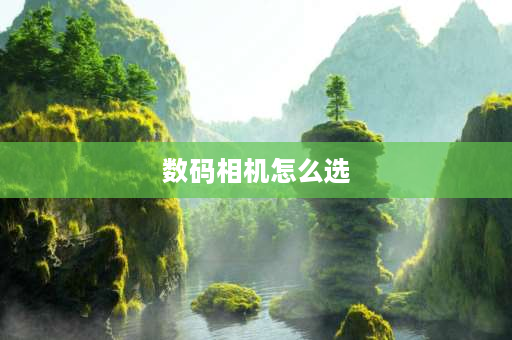 数码相机怎么选 200万像素和300万像素的数码相机我该选哪个？