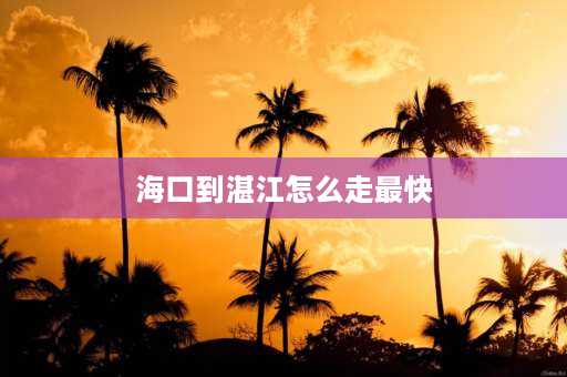 海口到湛江怎么走最快 从海口去湛江要怎么去？坐什么比较便宜呢？