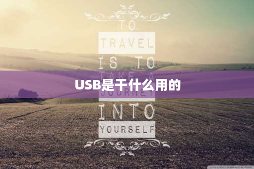 USB是干什么用的 U盘是干什么用的？