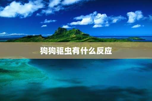 狗狗驱虫有什么反应 幼犬驱虫后的应激反应有哪些？