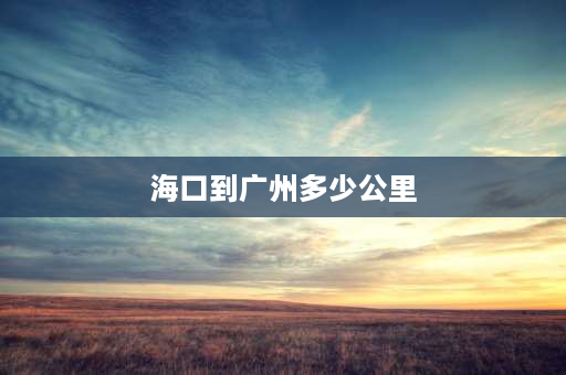 海口到广州多少公里 沈阳到海口开车，怎么走最快？