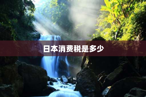 日本消费税是多少 日本各职业年均收入情况如何呢？