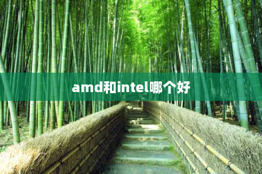 amd和intel哪个好 amd和intel哪个好？