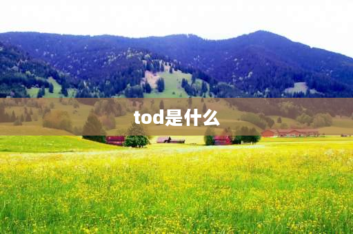 tod是什么 tod是什么牌子？