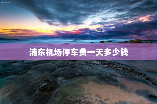 浦东机场停车费一天多少钱 有人知道浦东国际机场停车一天的费用是多少么？