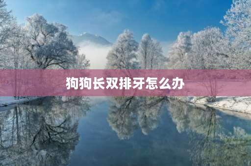 狗狗长双排牙怎么办 求大神解答，狗狗6个月，换牙犬牙双排牙这个正常吗？