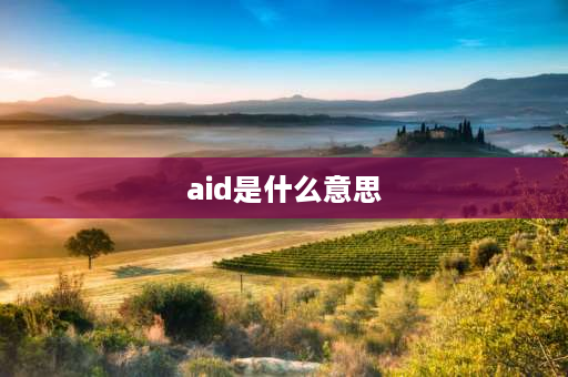 aid是什么意思 aid可数还是不可数？