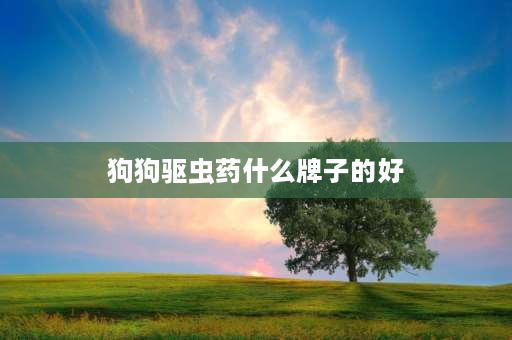 狗狗驱虫药什么牌子的好 宠物内驱虫药什么牌子好？