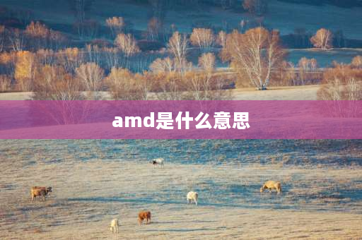 amd是什么意思 在电脑里amd是什么意思？