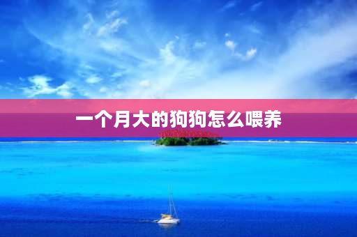 一个月大的狗狗怎么喂养 两个月的小狗狗怎么喂养？