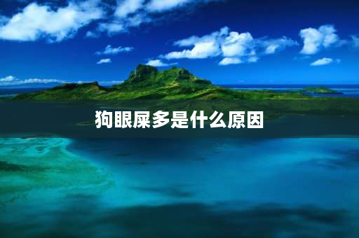 狗眼屎多是什么原因 小狗老是流泪流眼屎怎么回事？