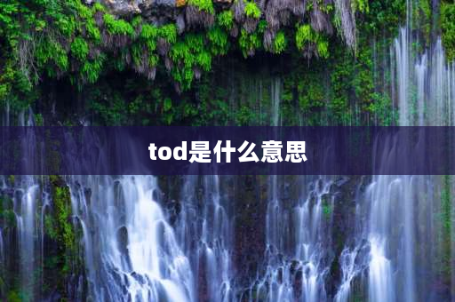 tod是什么意思 tod站点是什么意思？