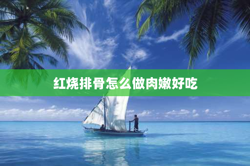 红烧排骨怎么做肉嫩好吃 红烧排骨怎样做又嫩又烂？