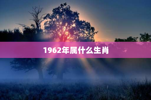 1962年属什么生肖 1962年天干地支什么年？