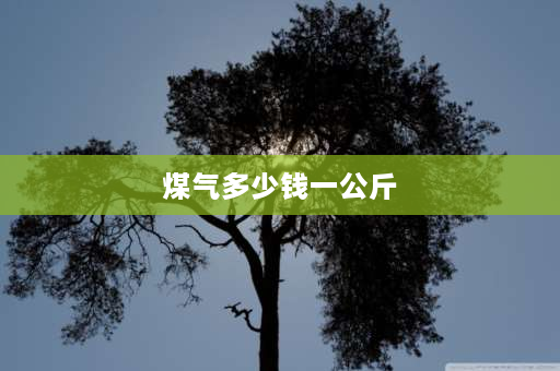 煤气多少钱一公斤 2023年15公斤一罐煤气多少钱？